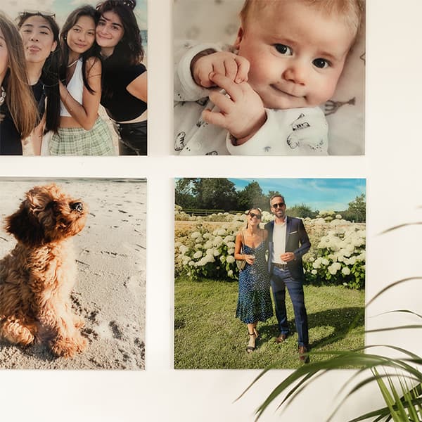Photo sur aluminium
