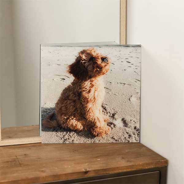Photo sur aluminium